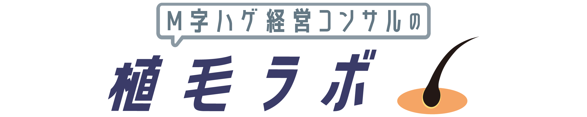M字ハゲ経営コンサルの植毛ラボ